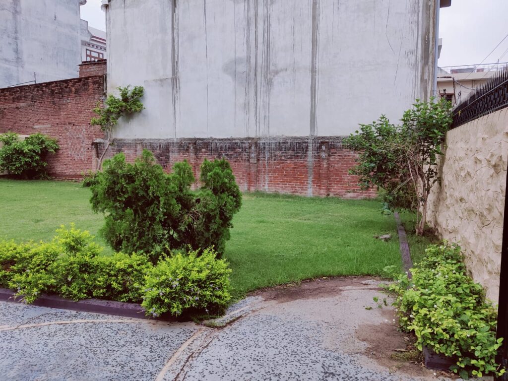 img 20260722 wa0006